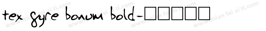 tex gyre bonum bold字体转换